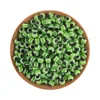 Verde manzana