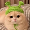 Ragazzo punk verde