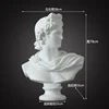 79 cm Apollon