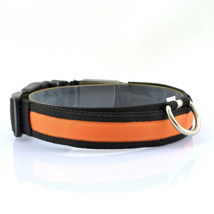 luminous dog collar