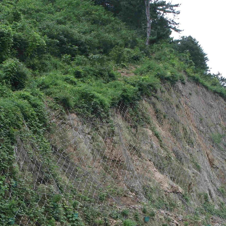 Scene image