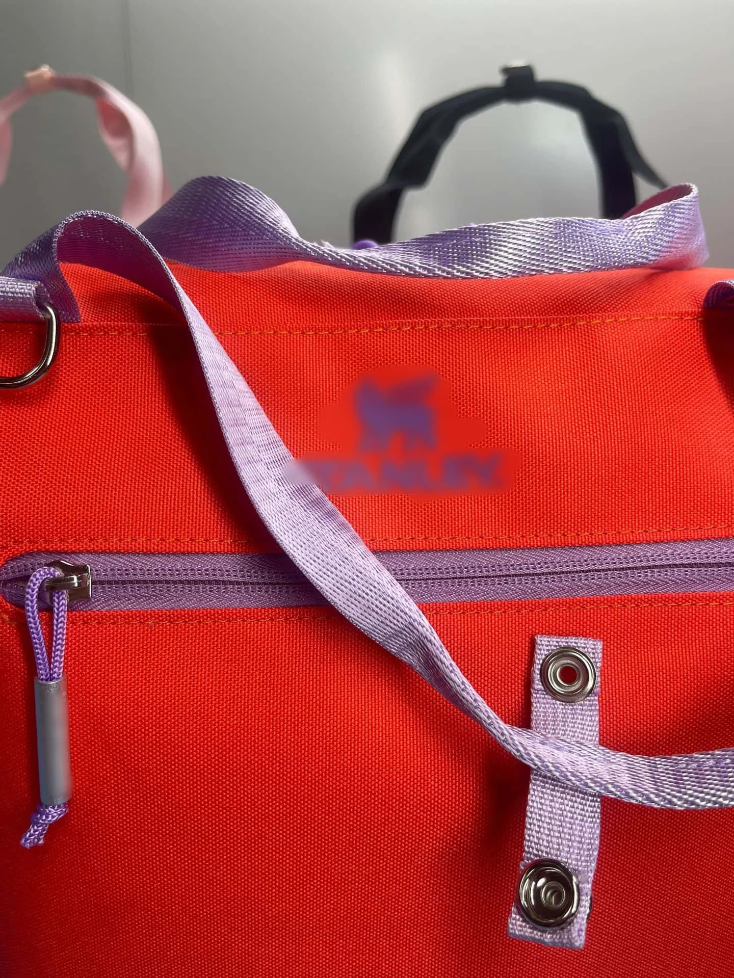 Cooler Carrier Bag