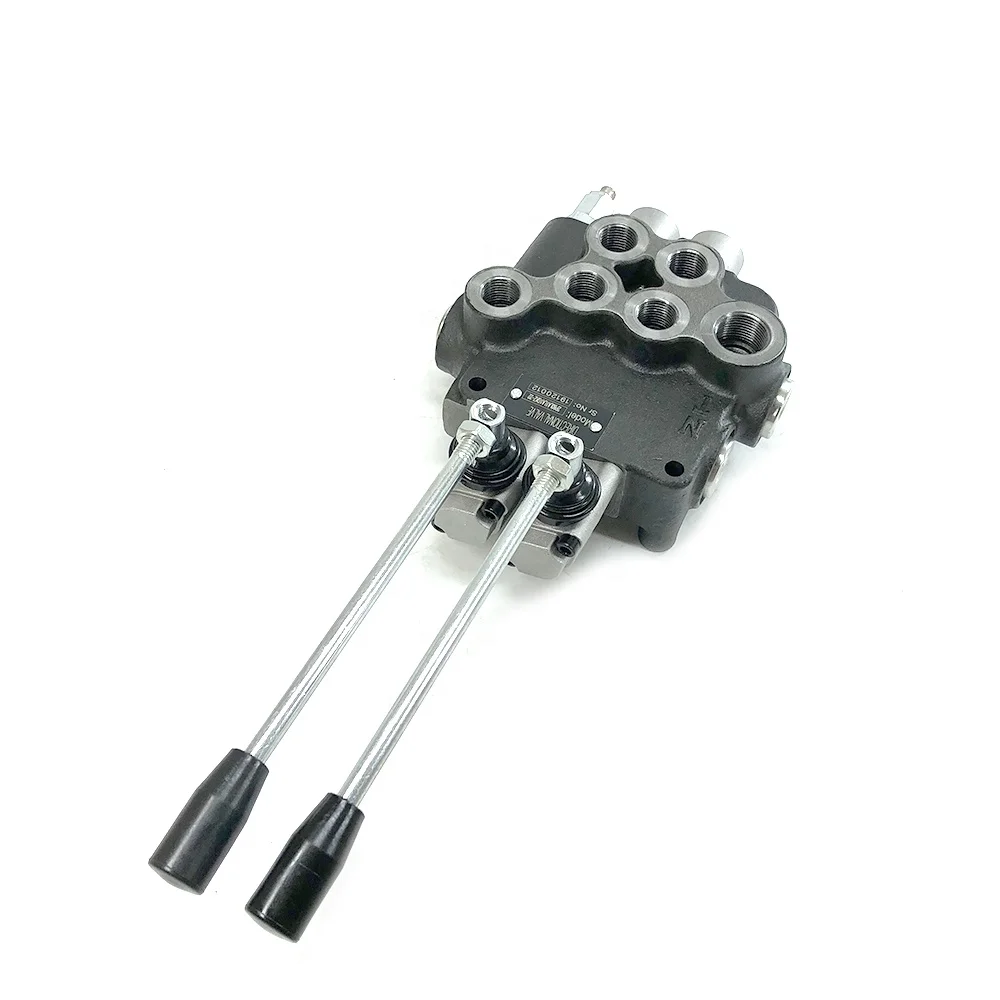 2 Lever P80 2p80 Monoblock Control 80 Liter  DIRECTIONAL VALVE DISTRIBUTOR Replace Badestnost
