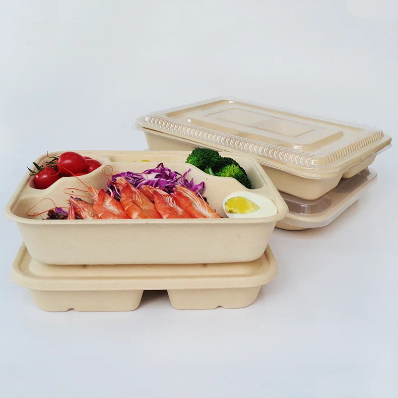 2024 Biodegradable Disposable Food Container Sugarcane Bagasse Packing ...