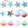 KT261-Concha de estrella de mar de colores