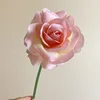 04-Rose