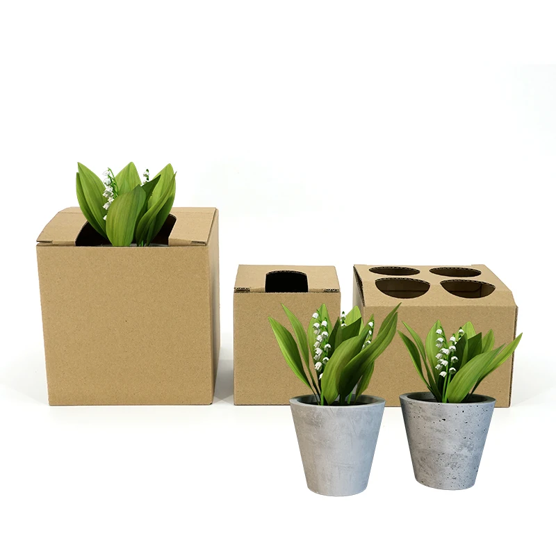 Wholesale Customized Recyclable Paper Succulent Pot Plant Packaging Box Long Cardboard Live Cactus Plant Shipping Carton Box