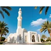 Mosquée des cocotiers - Blanc et bleu ciel