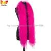 Chaude Rose