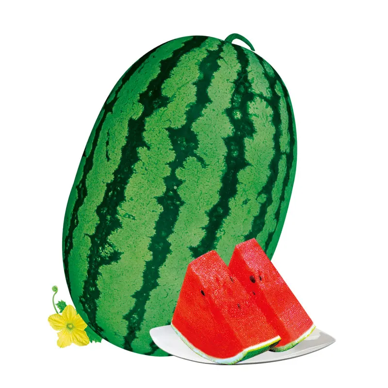 chinese vegetables seeds  company supply watermelon seed