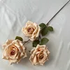 แชมเปญ