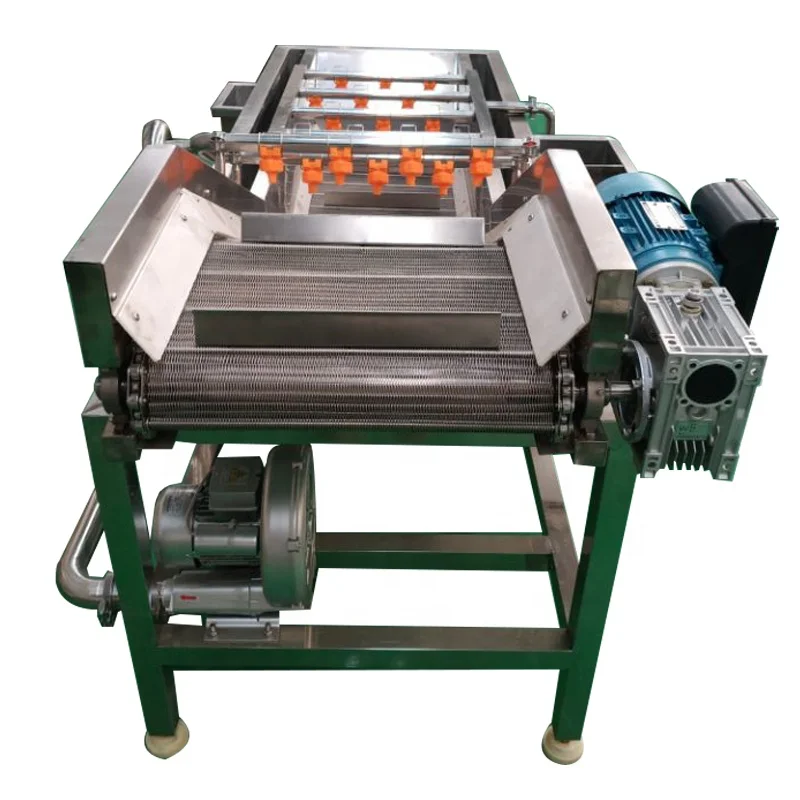 High Output Commercial Onion Apple Washing Machine Carrot Washing Machine for Sale