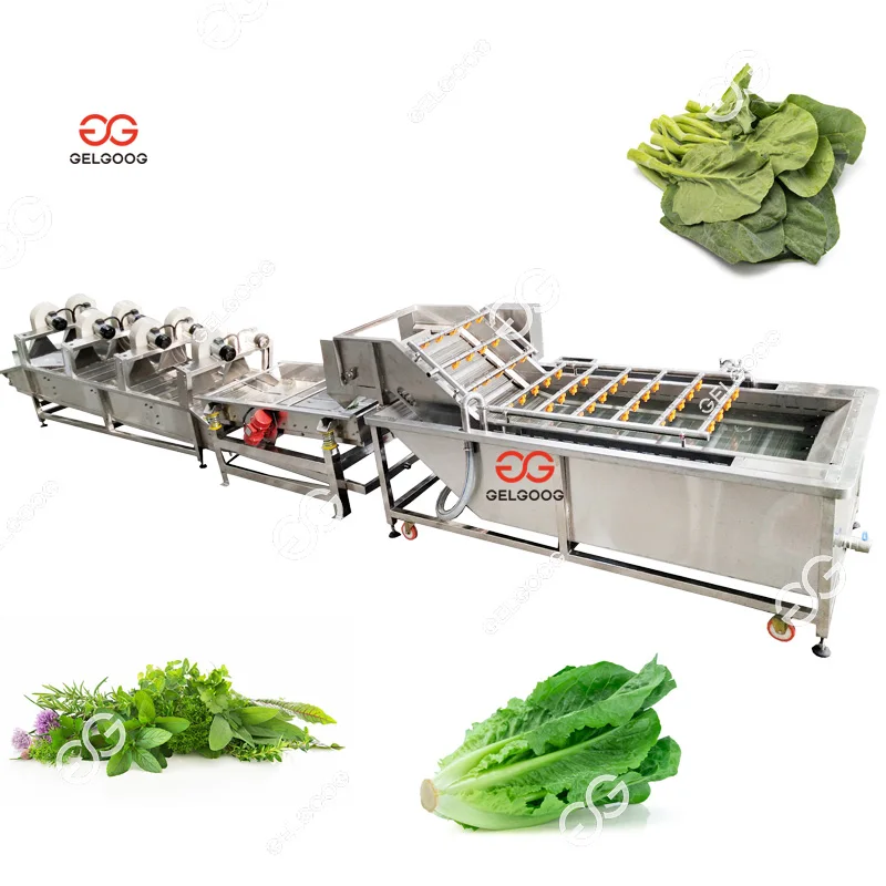 High Quality Yam Root Radish Vegetable Washing Peeling Machine Spinach Washer Salad Vegetable Cleaning Machine