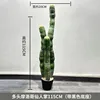 Cactus marroquí de múltiples cabezas, 115 cm (viene con base negra)