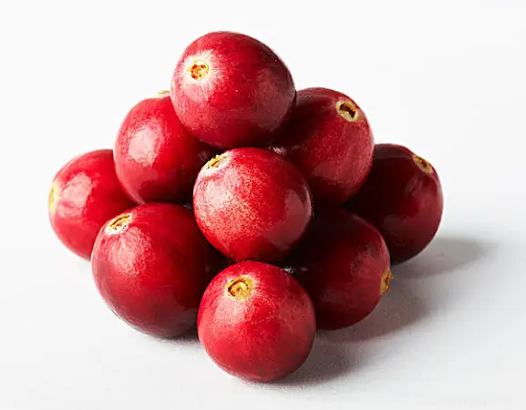factory supply cranberry fruit powder cranberry extract