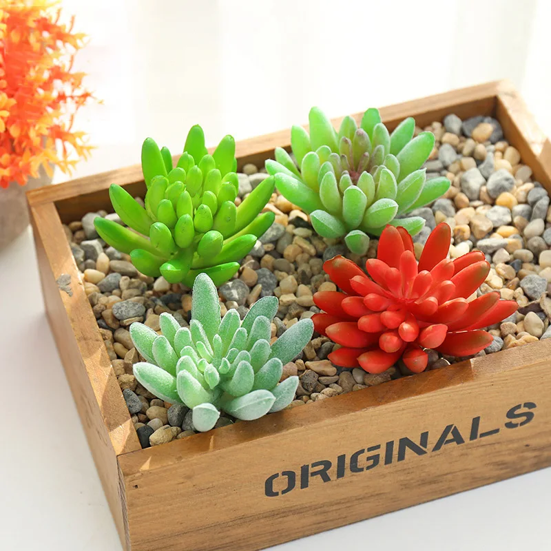 factory supply home decor succulent plant finger succulent
