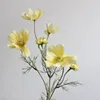 Jaune-vert clair