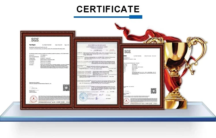 certiicate.webp