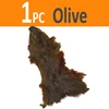 oliva 01