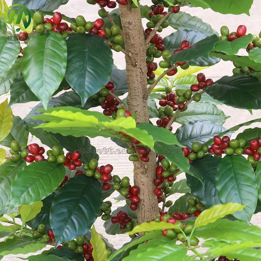 Newest Artificial Coffee Tree Bonsai Natural Faux Coffee Plant Potted High  Simulation Coffee Fruit Ornamental Greenery