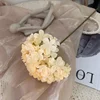 Champagne large-head glue applicator