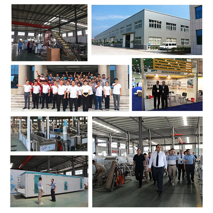 TCA Small Type Freeze Drying Lyophilizer Machine Industrial Fruit and Vegetables Vacuum Freeze Dryer