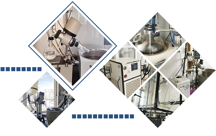 S-Adenosylmethionine SAMe Powder S-Adenosyl methionine