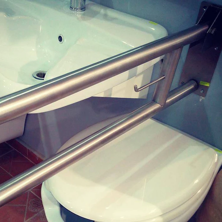 Public Mobile Wc Assistance Toilettes Bidet Space Sanitary Handicapped ...