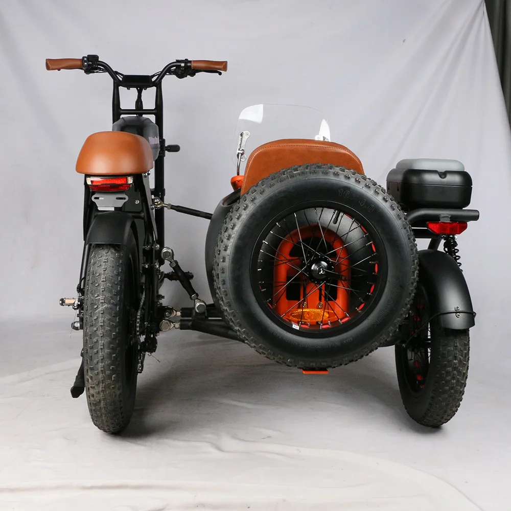 Super Power 1000w Side Car Pedal Assist Bike Sidecar to Carry Pets Electric  Fat Tire Tricycle Electric Bike Wheel