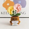 Clavel de dos cabezas rosa y amarillo