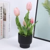Pink-1