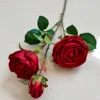 Imperial Rose