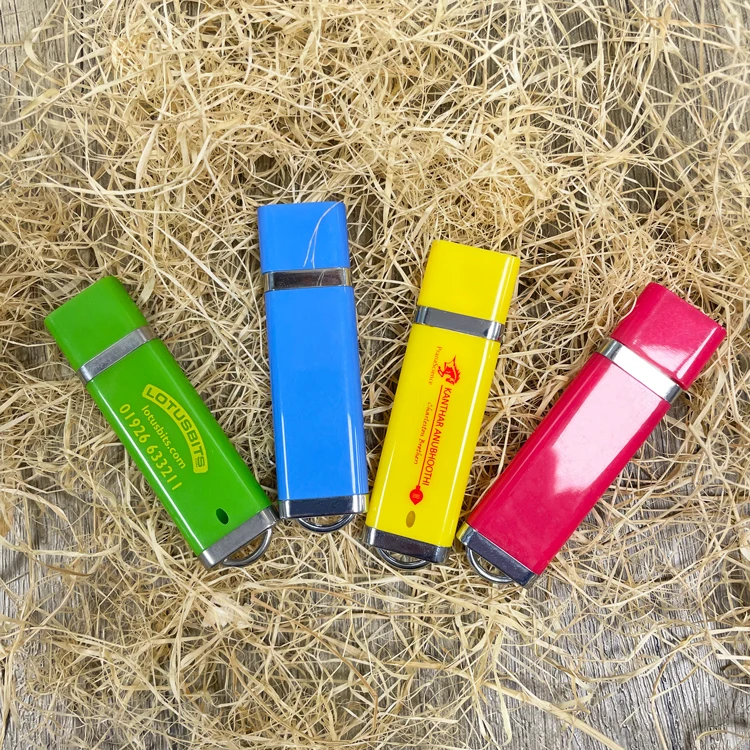 Bulk Cheap Business Gift Plastic USB Flash Drive 1GB 2GB 4GB 8GB 16GB 2.0 USB Stick Pen Drive with Custom Logo - ANKUX.COM