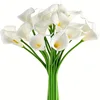 Bianco con centro giallo