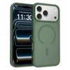 blacklish green