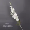 Delphinium-white