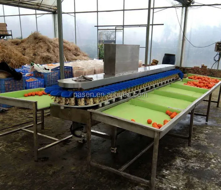 Automatic Meat Grader Machine Fish oyster Weighing Grading Machine Crab Chicken Sorting Machine for Sale