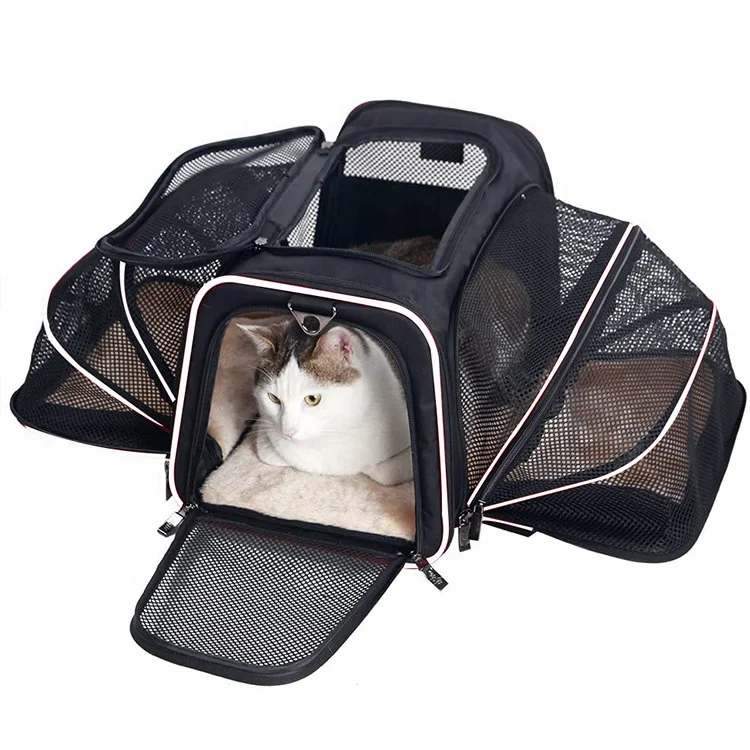 Traveler Backpack Pet Carriers For Cats And Dogs Portable Simple Pet Carrier Bag manufacture