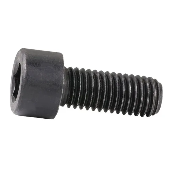 Top Quality DIN7984 12.9 Grade Hex Socket Head Cap Shoulder Screw Carton Industry Special Screws Stainless Steel factory