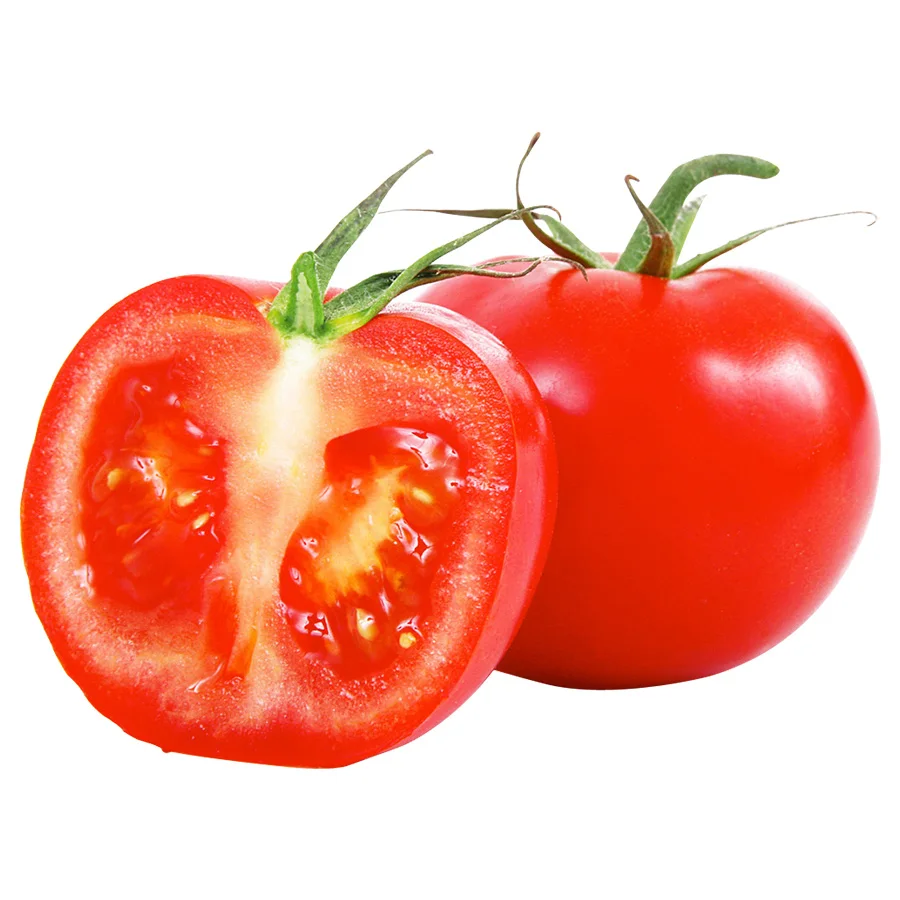 safe and pollution-free brand names fresh red organic tomato