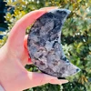 Larivikite Moon