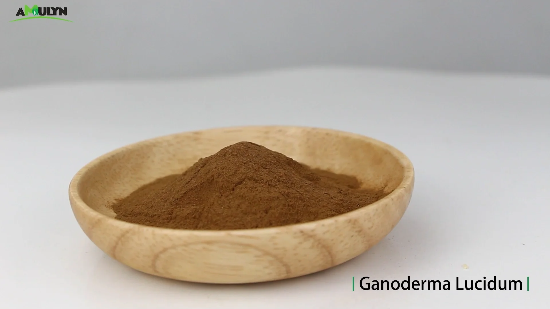 250g Organic Reishi Mushroom 10:1 Extract Powder – Superfoods Australia (Ganoderma Lucidum)