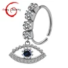 silver eye 1