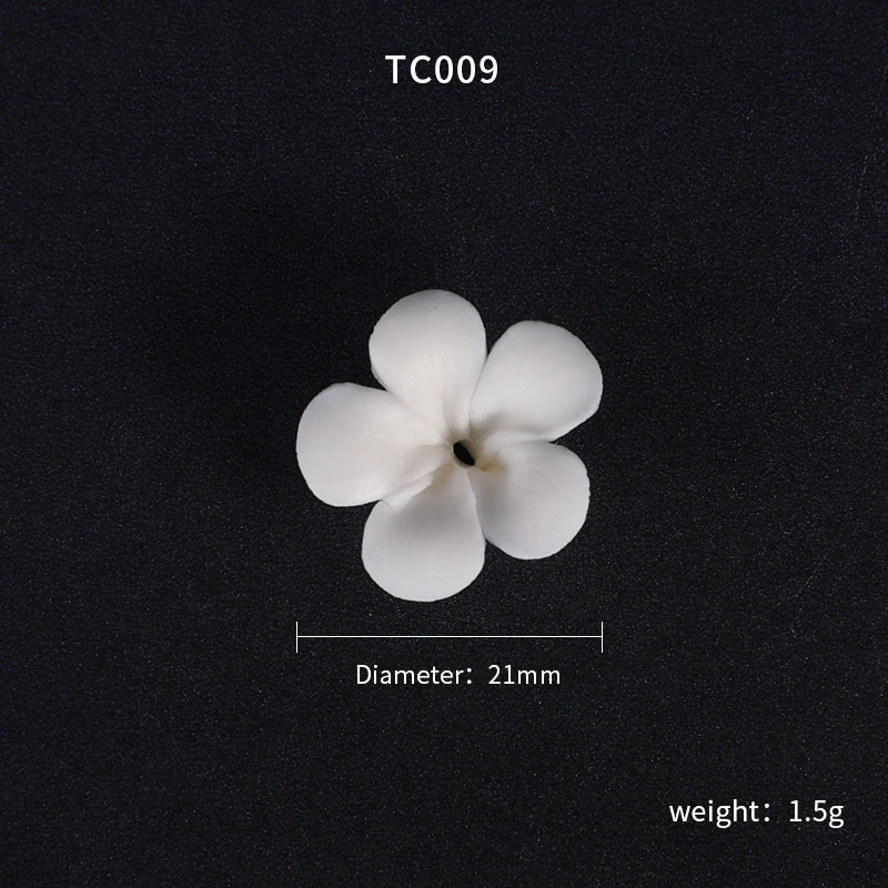TC009.JPG