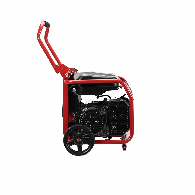 Bison Petrol Engine Auto Start Control 3kw 3kva 3000w Gasoline Generator Set in Stock