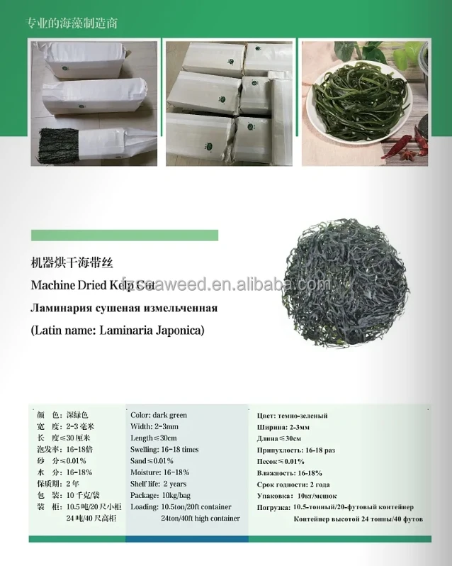 Natural Dried Seaweed Fujian Origin Machine Dried Kelp Laminaria Shredded