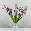 Violet foncé
