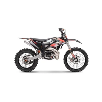 Time-SJ300 300cc 2-stroke Motocross Dirt Bike 300cc Off-Road Motor Red Sticker