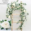Enredaderas de rosas Sweetheart - Blanco