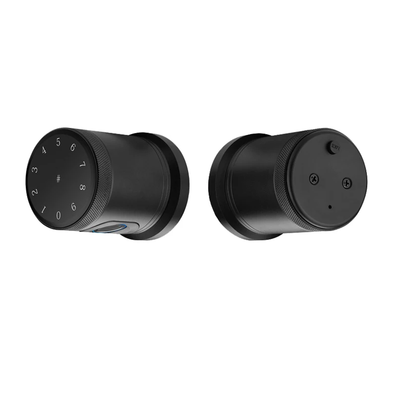 Ttlock App Biometrics Automatic Smart Cerradura Inteligente Puerta Exterior De Seguridad Fingerprint Keyless Room Door Lock